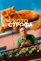 Котострофа