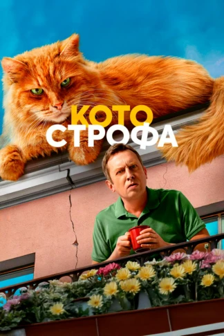 Котострофа