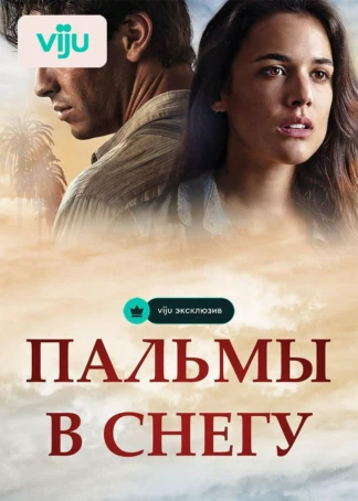 Пальмы в снегу