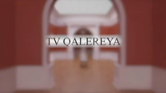 Tv Qalereya