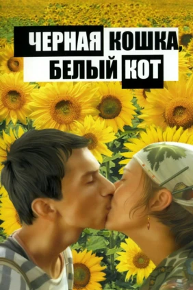 Чёрная кошка, белый кот
