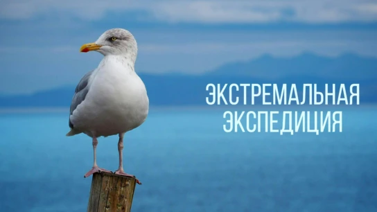Экстремальная экспедиция