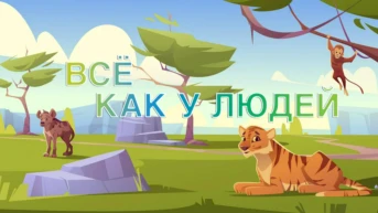 Всё как у людей