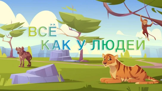 Всё как у людей