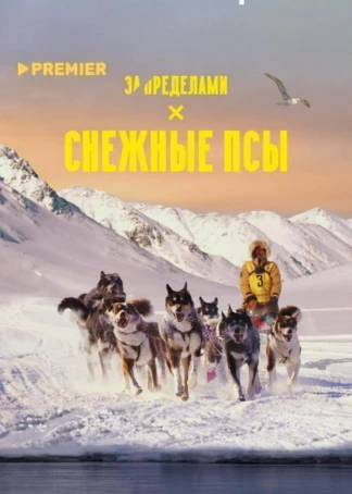 Снежные псы