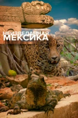Неизведанная Мексика