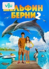 Дельфин Берни 2