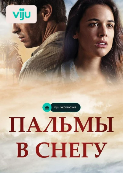 Пальмы в снегу