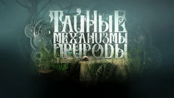 Тайные механизмы природы