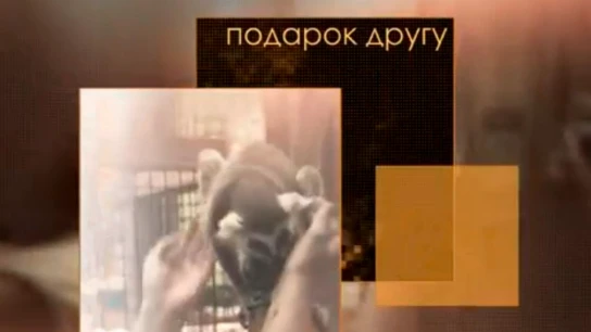 Подарок другу