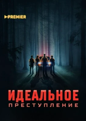 Идеальное преступление
