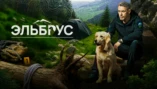 Семейный шторм