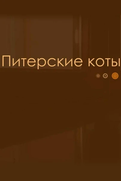 Питерские коты
