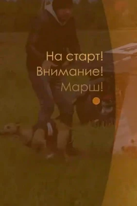 На старт! Внимание! Марш!