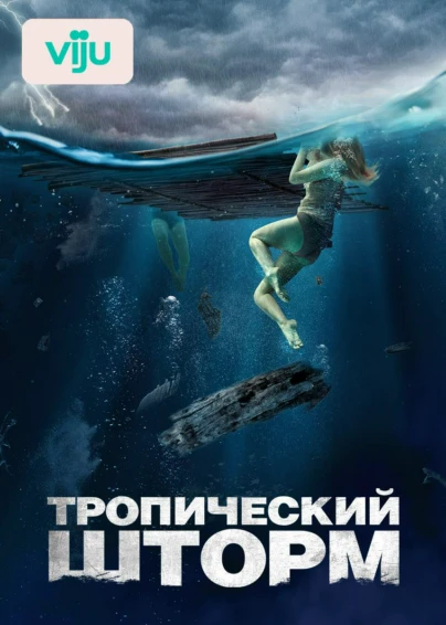 Тропический шторм