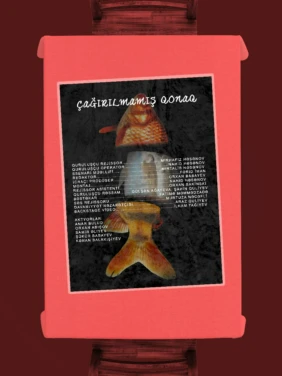 Çağırılmamış qonaq