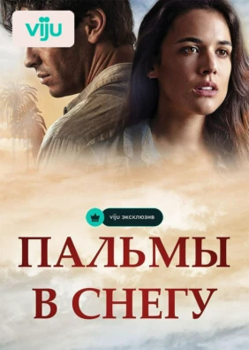 Пальмы в снегу