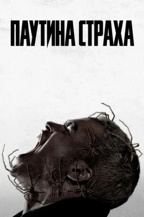 Паутина страха
