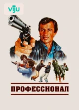 Профессионал