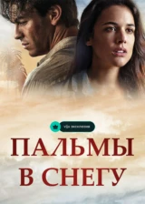 Пальмы в снегу