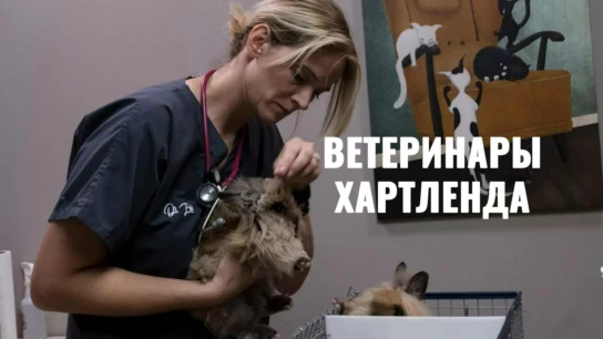 Ветеринары Хартленда