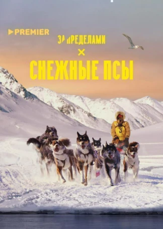 Снежные псы