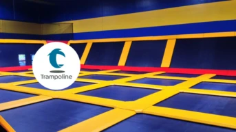 Batut gimnastikası. Dünya kuboku