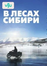 В лесах Сибири