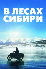 В лесах Сибири