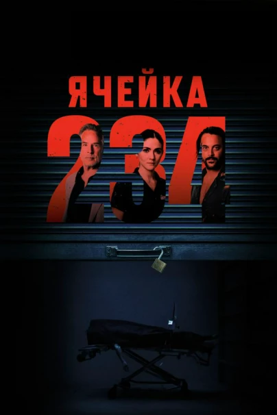 Ячейка 234