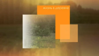 Жизнь в деревне