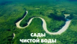 Северная Америка