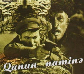 Qanun naminə