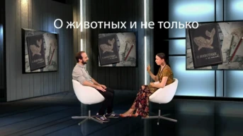 О животных и не только