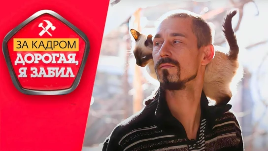 За кадром. Дорогая, я забил