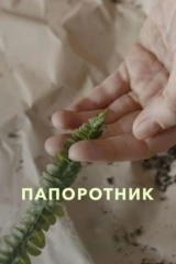 Папоротник