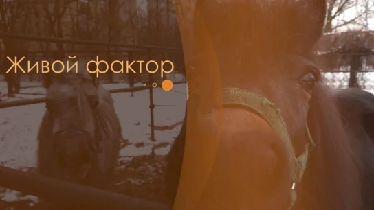 Живой фактор