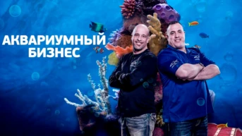 Аквариумный бизнес