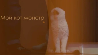 Мой кот — монстр