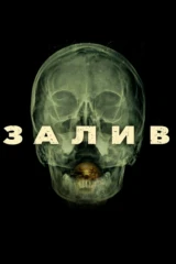 Залив