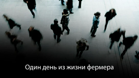 Один день из жизни фермера