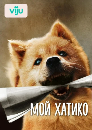 Мой Хатико