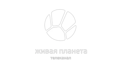 Живая Планета