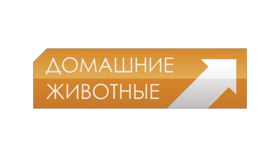 Домашние животные
