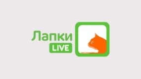 Лапки Live