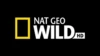 Nat Geo Wild HD
