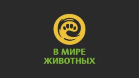 В мире животных HD