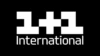 1+1 International