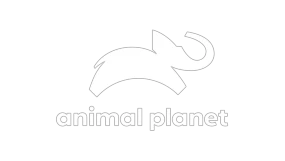 Animal Planet HD