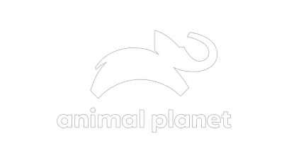 Animal Planet HD